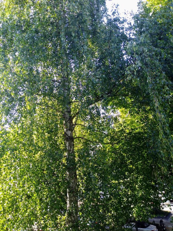 Alster City Garden Villa Хамбург Екстериор снимка
